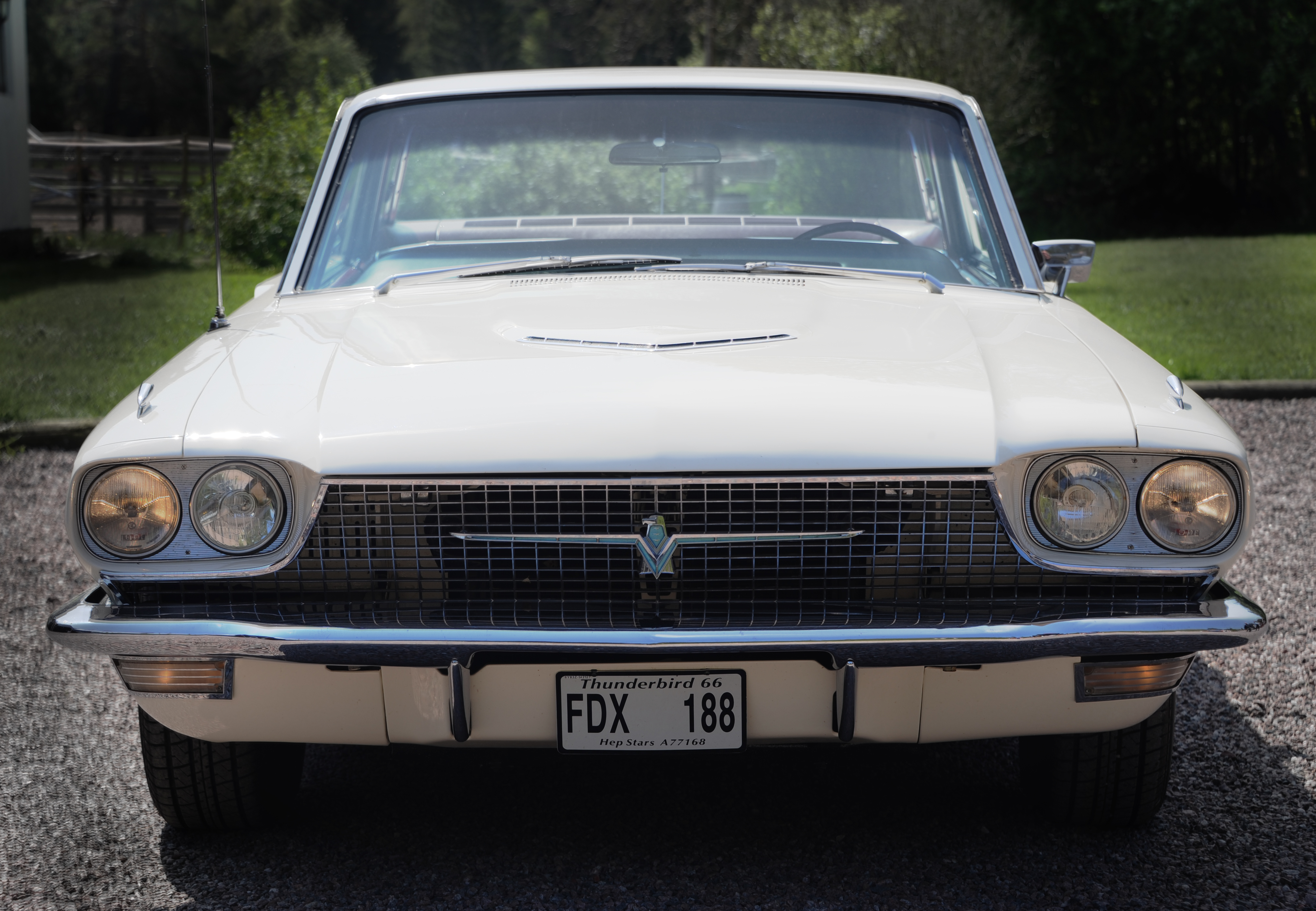 Svennes Ford Thunderbird